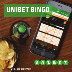 BR Bingo-250x250-Flemish